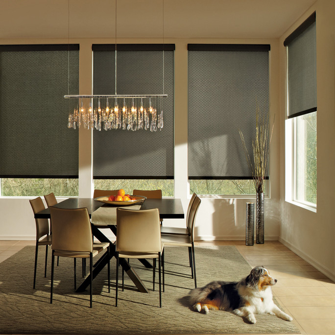 Hunter Douglas, Custom Window Treatments, Roller Shades | Interiors by Design Concepts